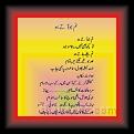 Dr Wazir Agaa 01 * 22.03.2008 * 372 x 735 * (41KB)
